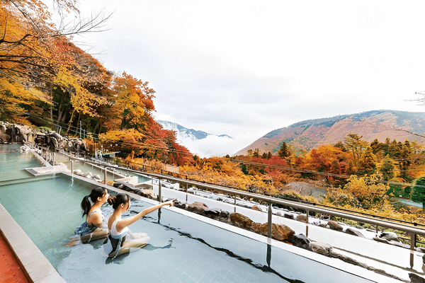 hakone.png