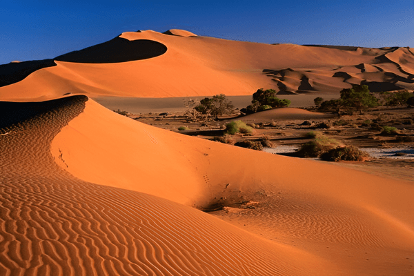 Image - 2026-07-02T224346.775 (1).png