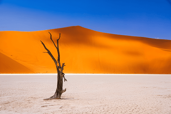 Image - 2026-07-03T103820.689 (1).png