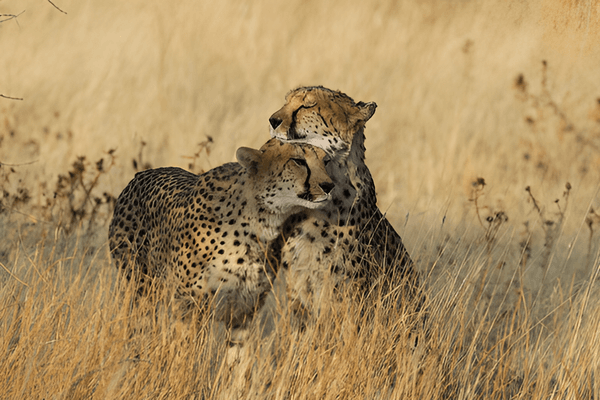 Image - 2026-07-03T122842.279 (1).png