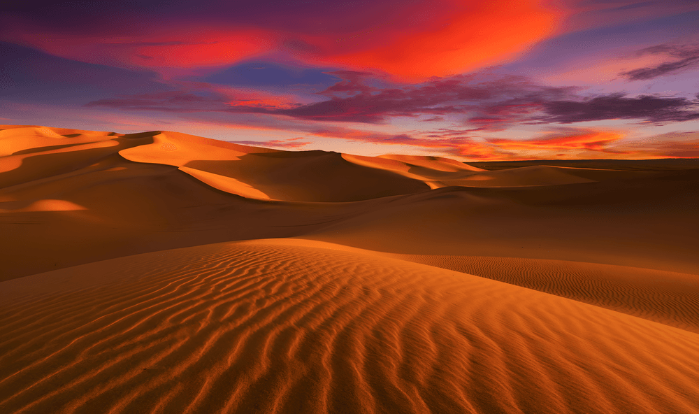 sahara.png