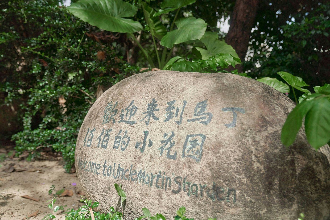 Image 7